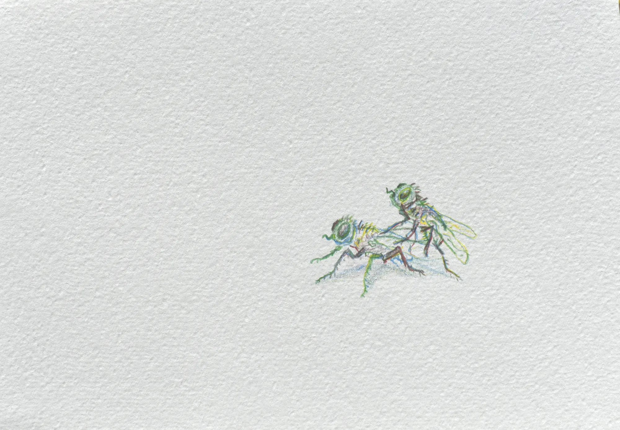 Mosca — 4